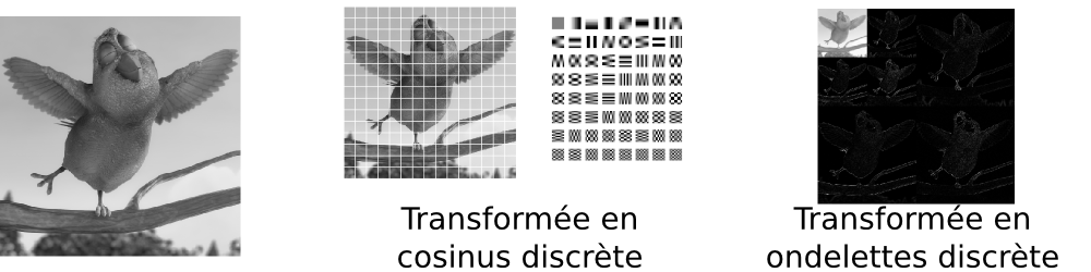 Transformées mathématiques